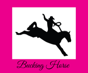 Bucking Horse Equine Cottage Weathervane