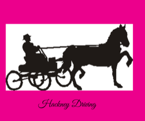 Hackney Driving Equine Cottage Weathervane