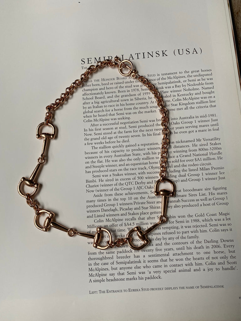 Rose Gold 3 Snaffles Necklace