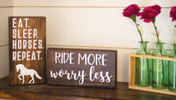 Ride More Worry Less Shelf Sitter